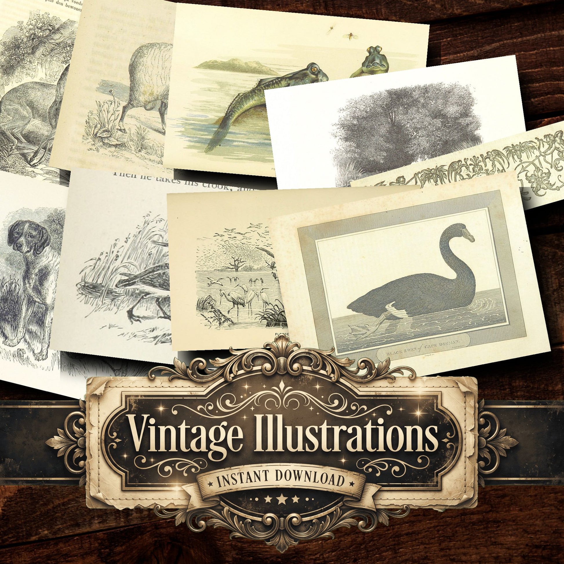 Fauna Vintage Prints