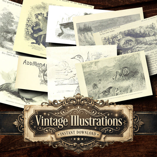 Fauna Vintage Prints