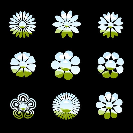 Floral Canva Frames - Drag and Drop Flower Canva Templates Floral PNG Designs - Editable Floral Canva Templates