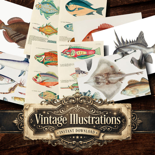 Fish Vintage Prints