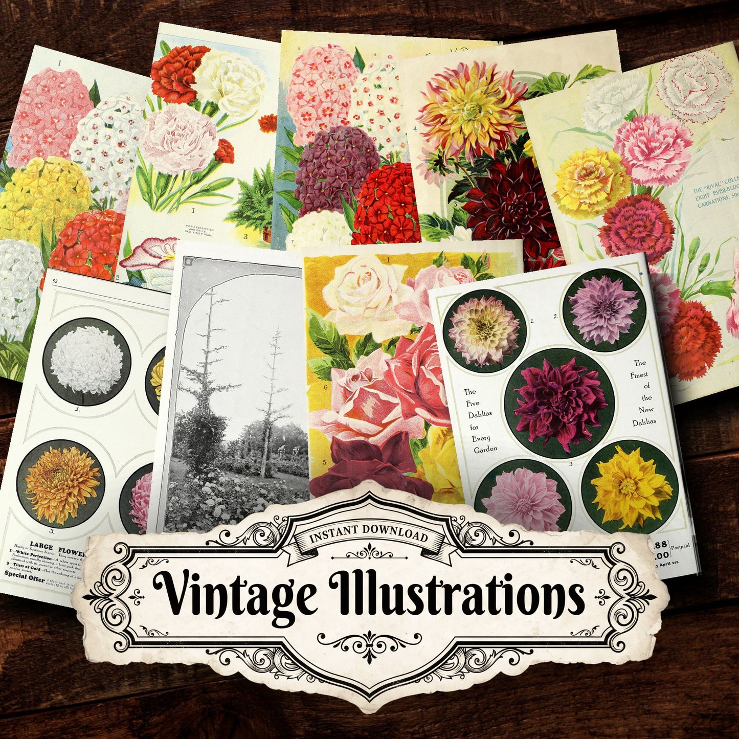 Floral Ads Vintage Prints
