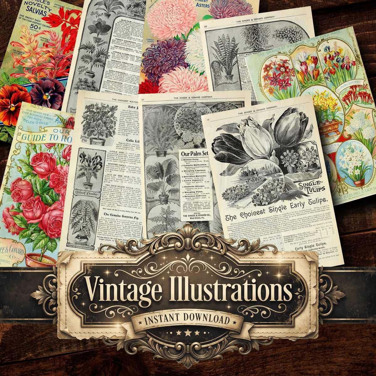 Floral Vintage Prints