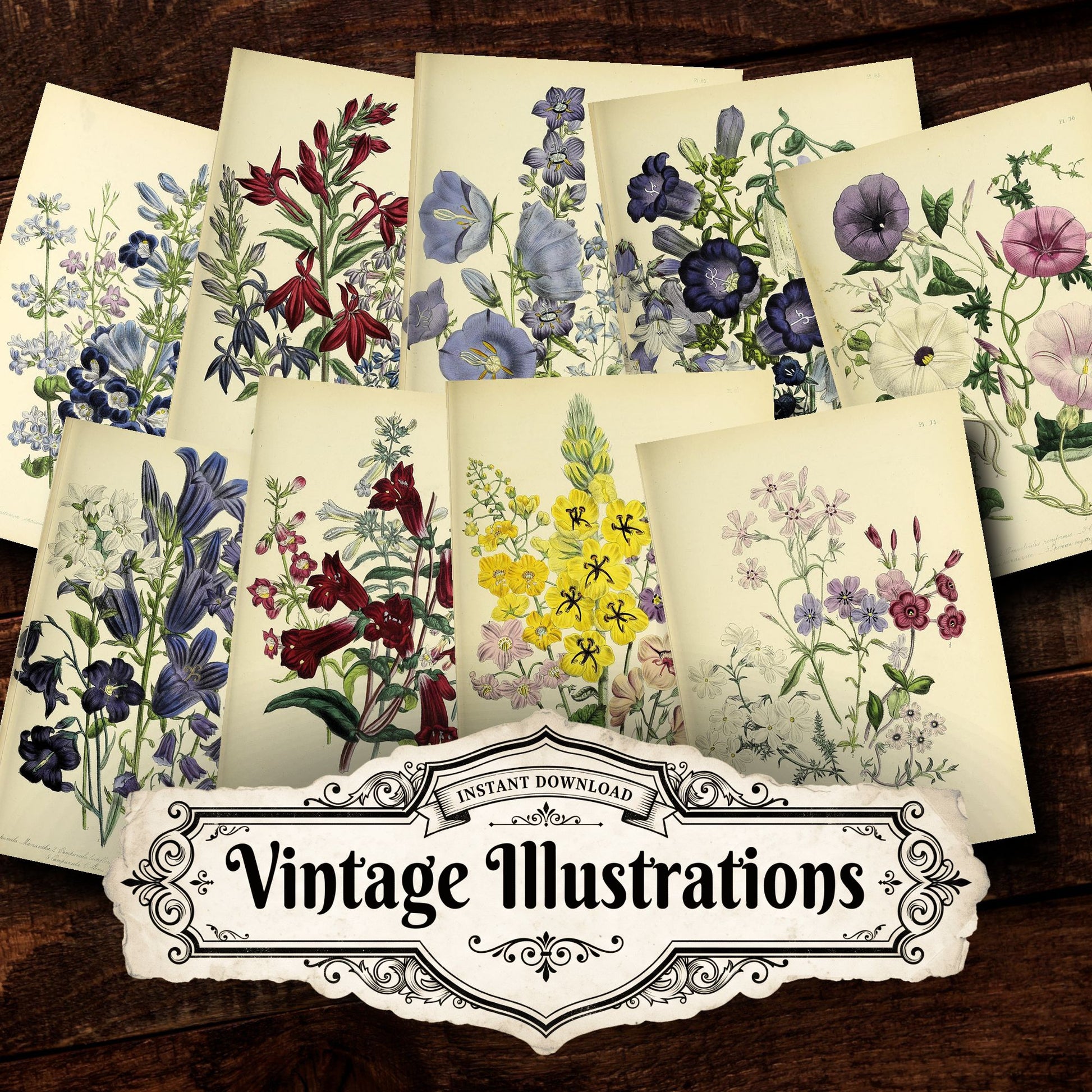 Floral Vintage Prints