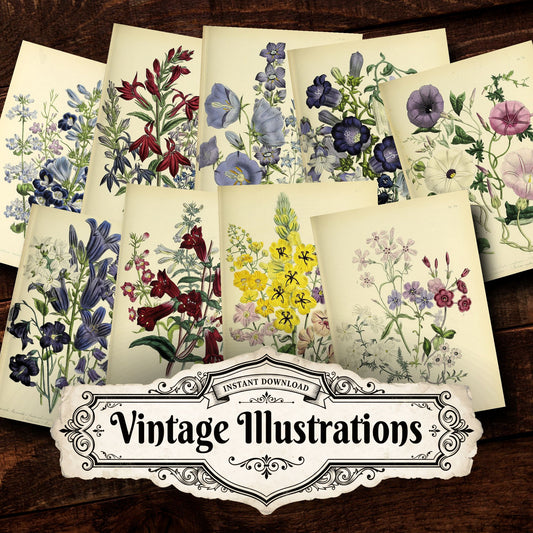 Floral Vintage Prints