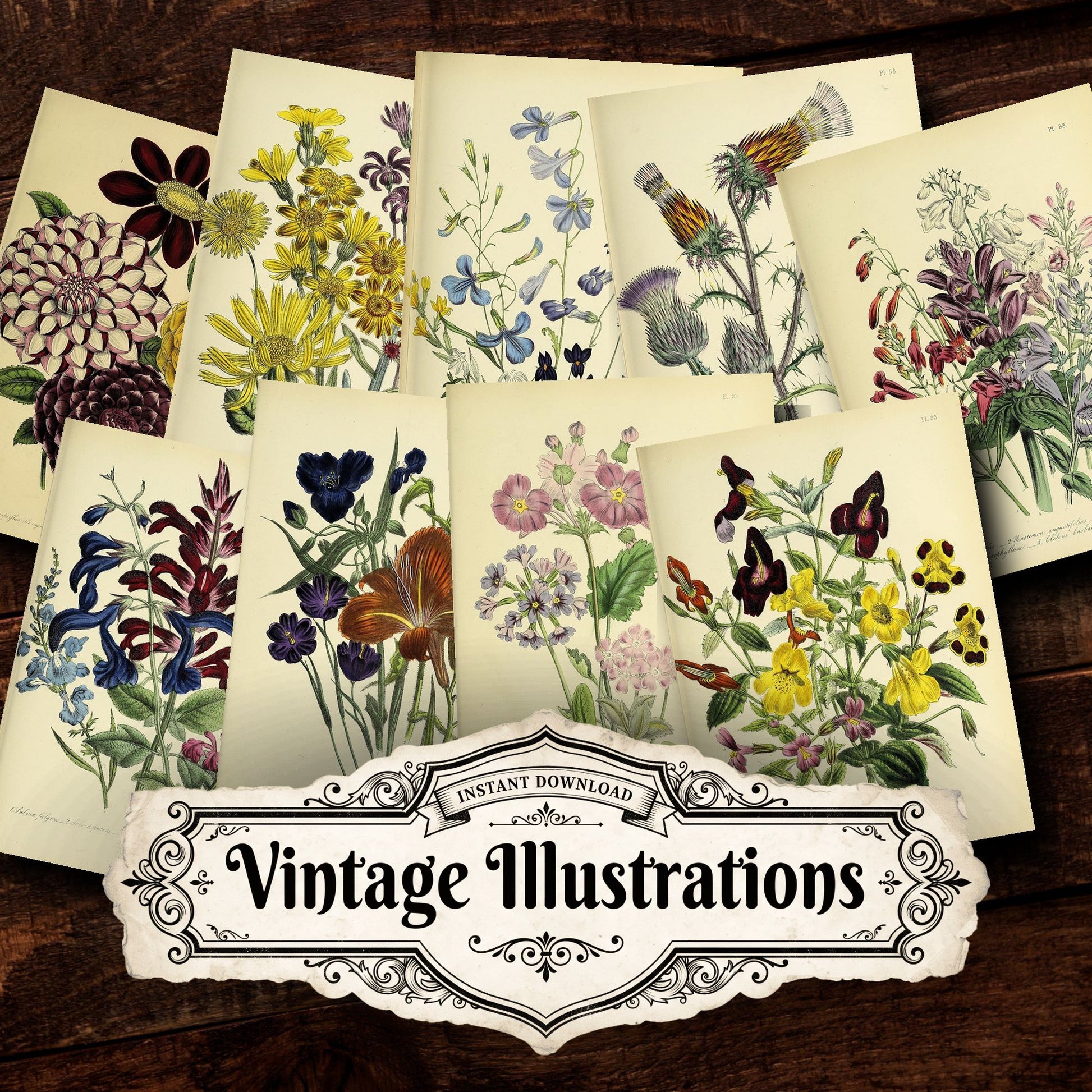 Floral Vintage Prints