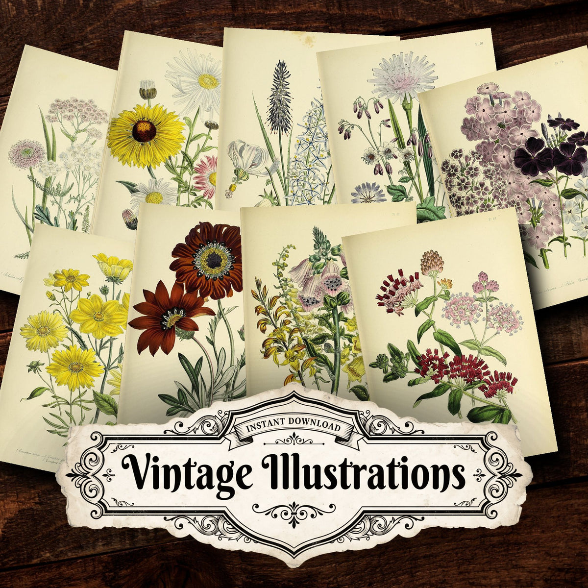 Floral Vintage Prints
