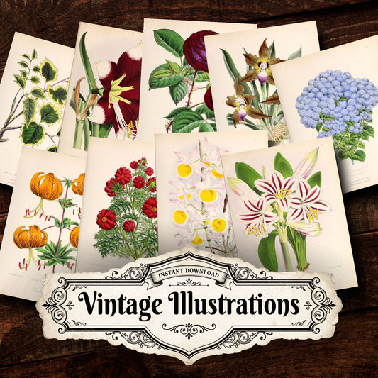 Floral Vintage Prints