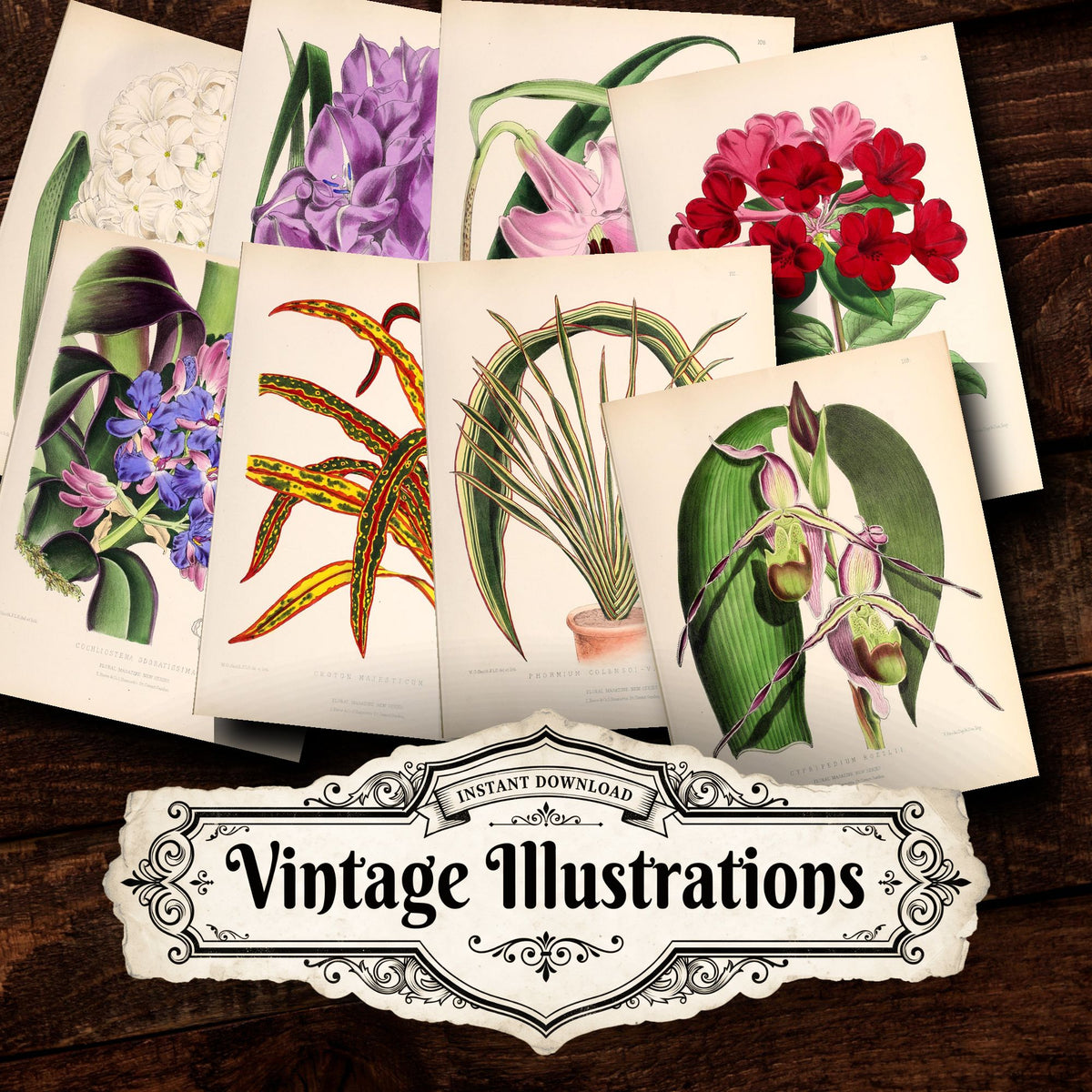 Floral Vintage Prints