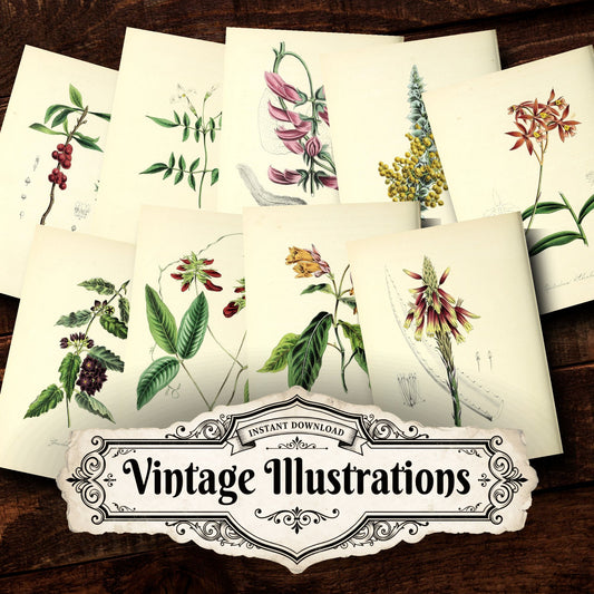 Floral Vintage Prints