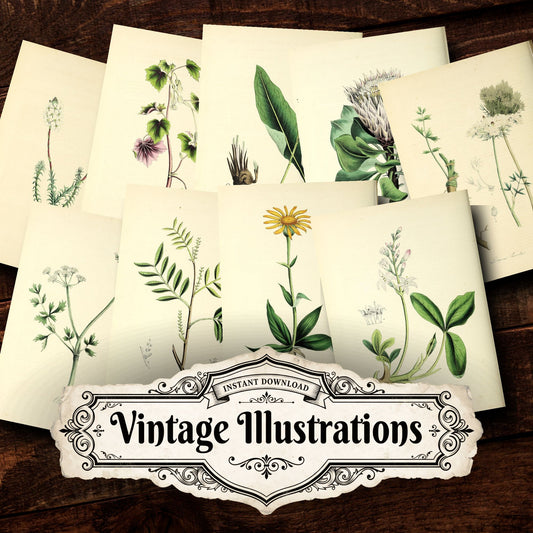 Floral Vintage Prints