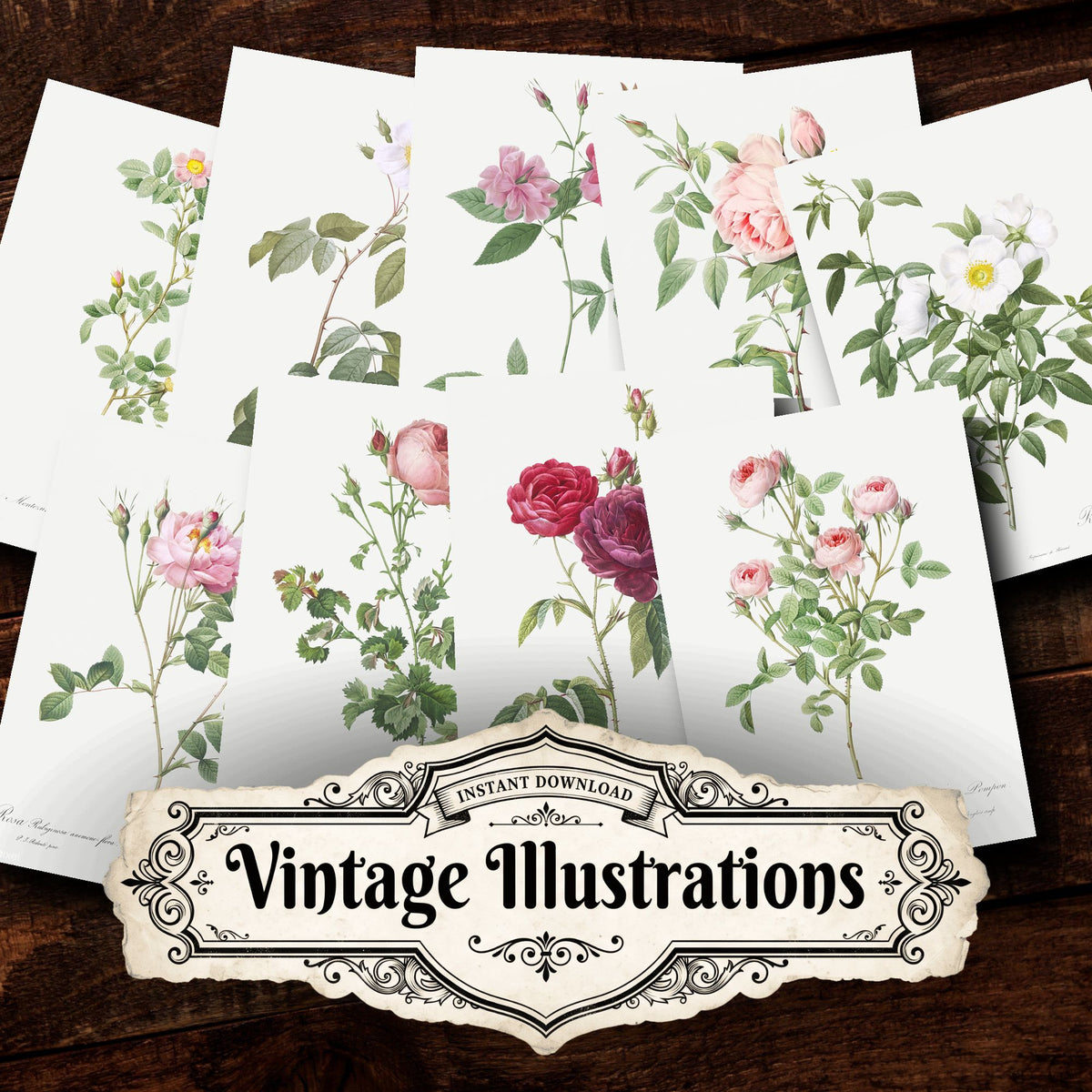 Collage of Floral vintage illustrations, printable digital download