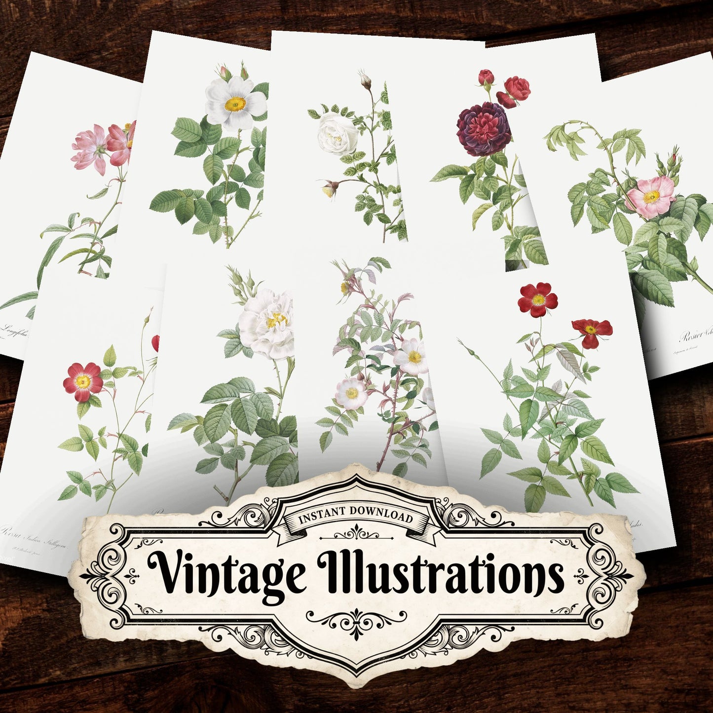 Floral Vintage Prints