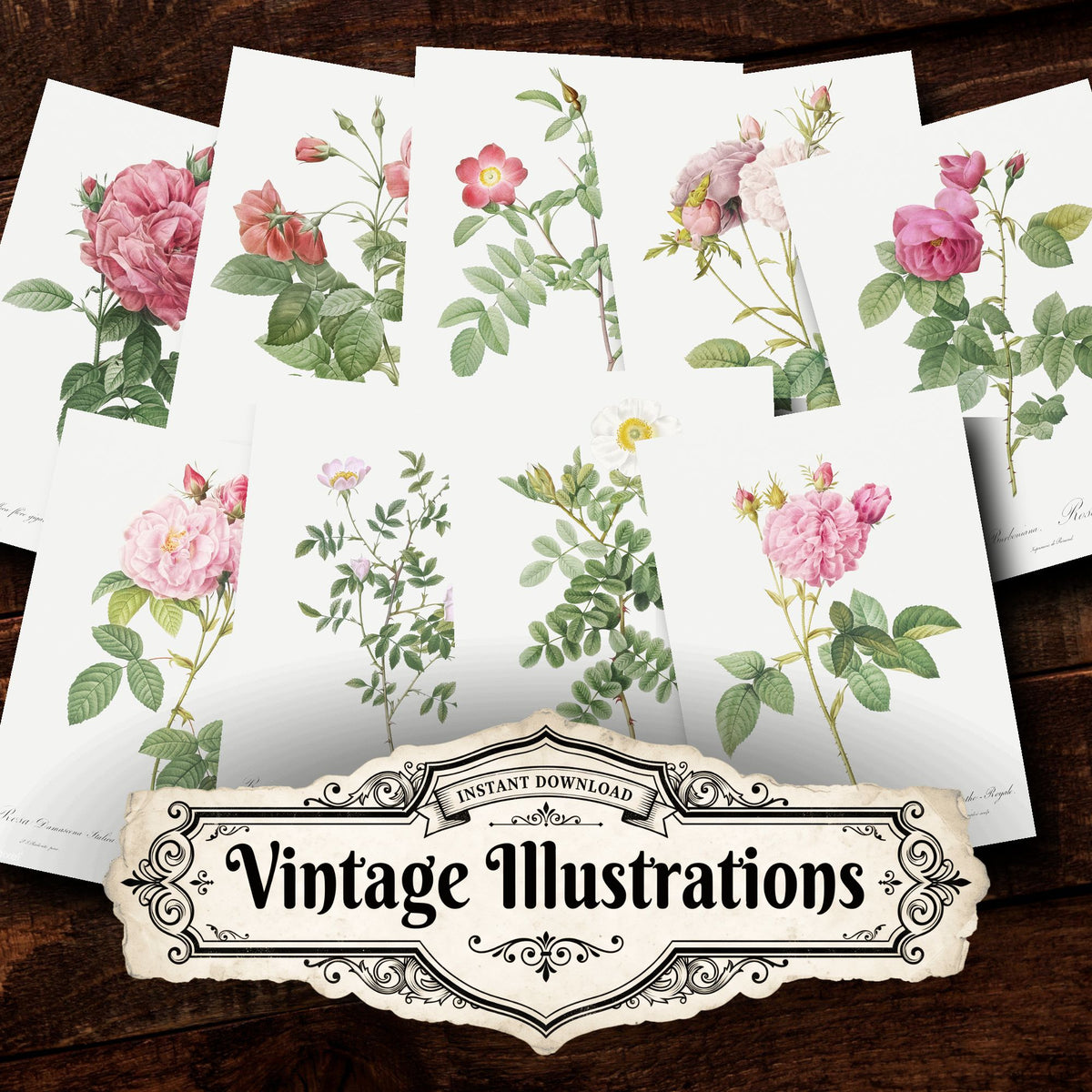 Collage of Floral vintage illustrations, printable digital download