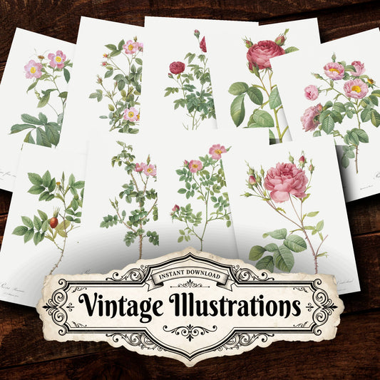 Floral Vintage Prints