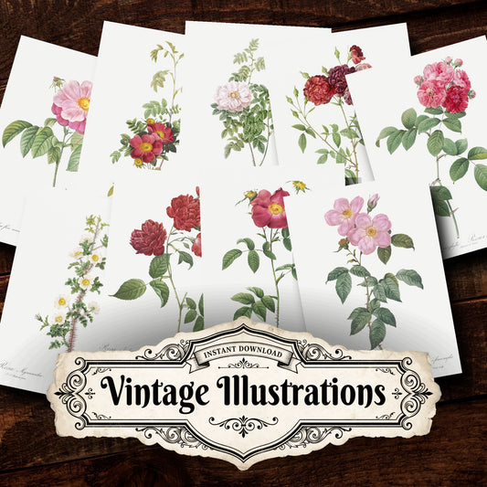Floral Vintage Prints