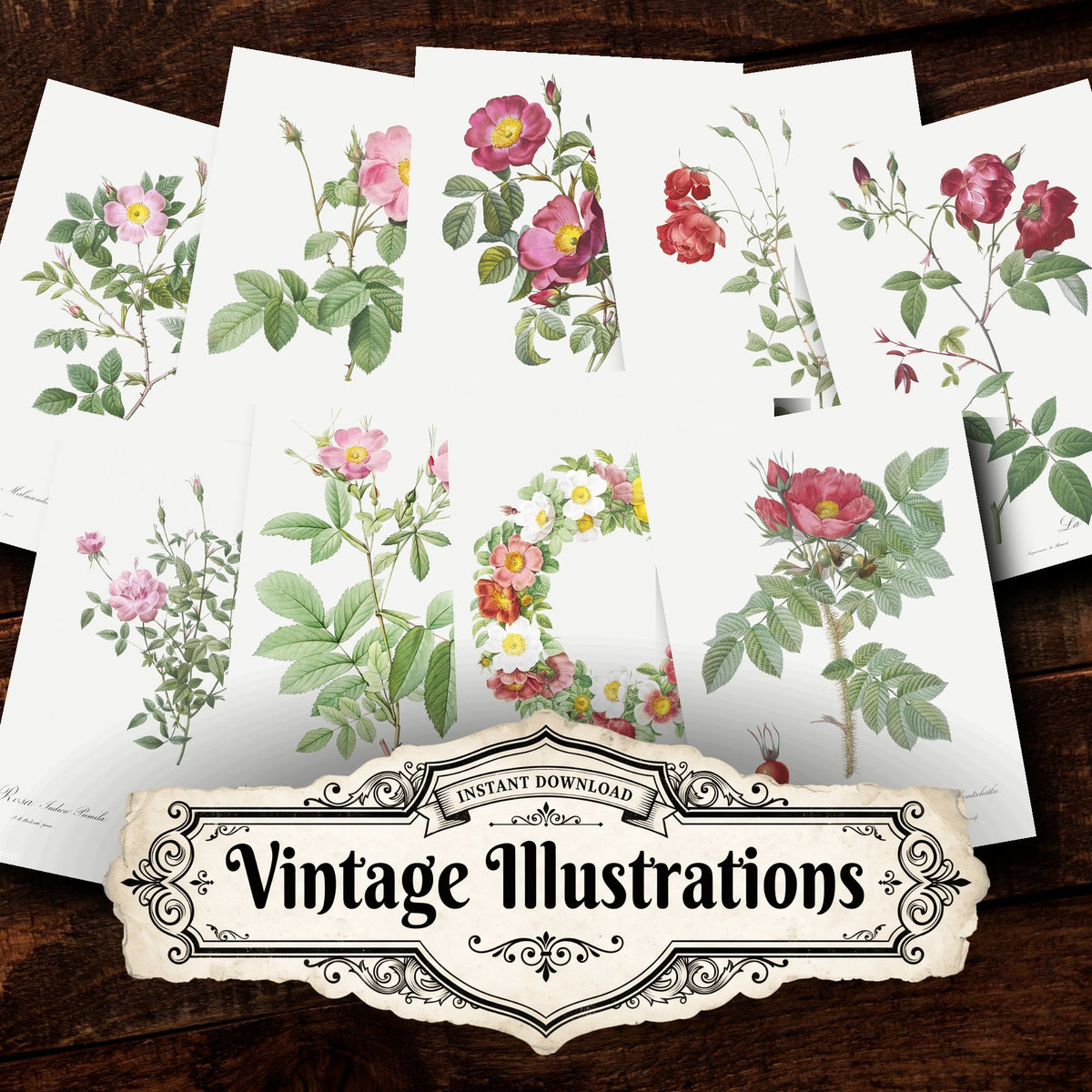 Collage of Floral vintage illustrations, printable digital download