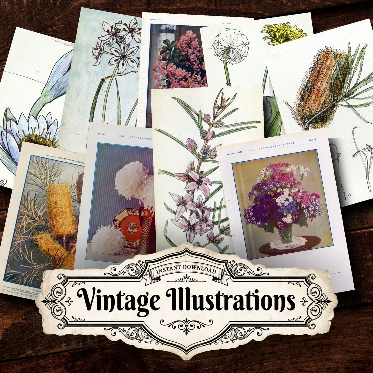 Collage of Floral vintage illustrations, printable digital download