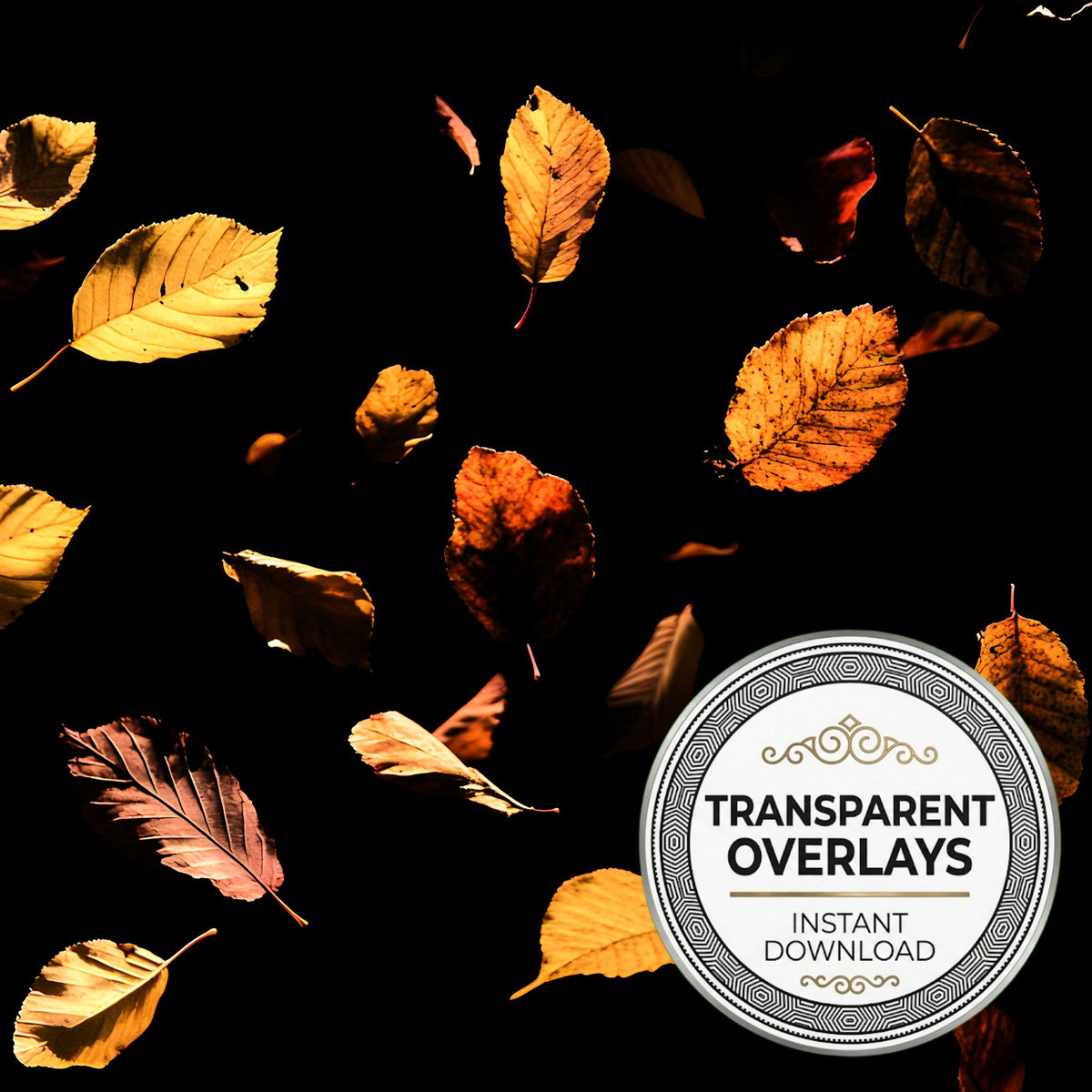 Golden Autumn Leaves Floating transparent PNG overlays for photo editing, cover preview