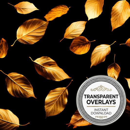 Golden Autumn Leaves Transparent Overlay Pngs