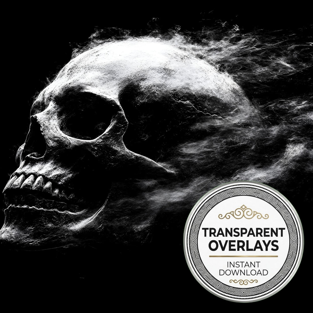 Gothic Skull Surrounded Transparent Overlay Pngs