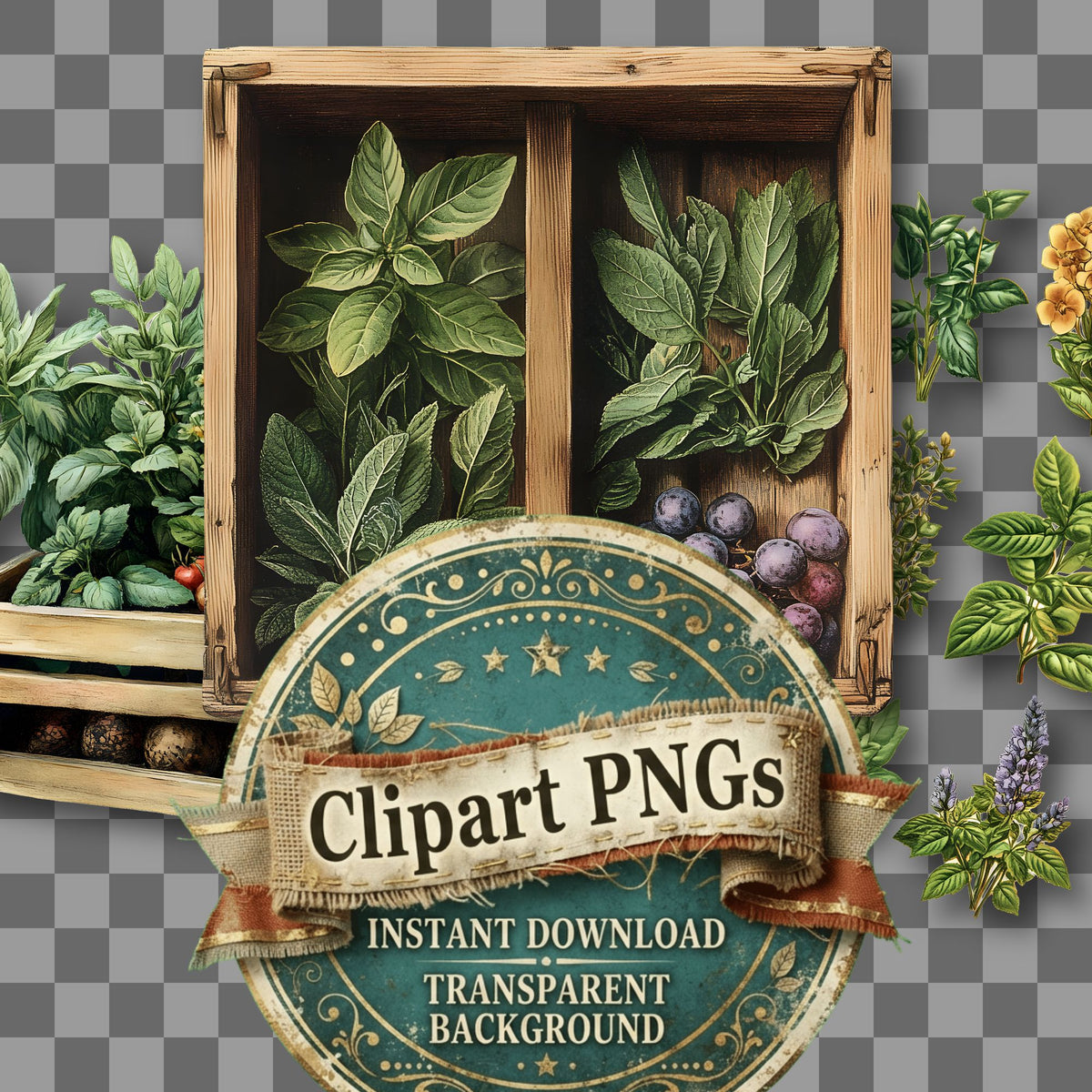 Herbs Vintage Style clipart with transparent background, digital download cover