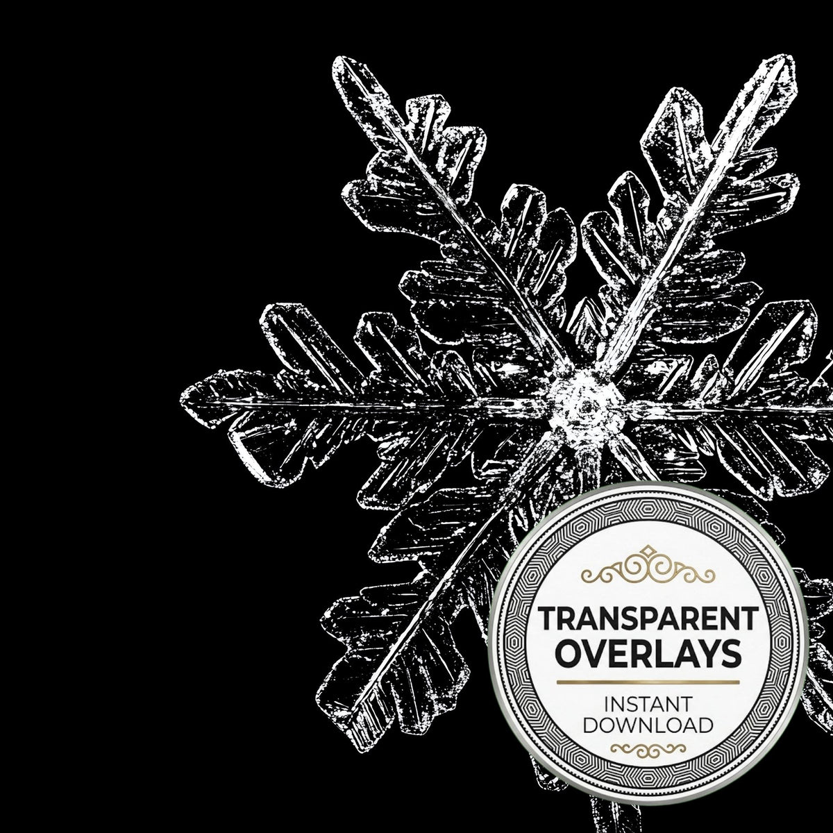 Large Snowflake Transparent Overlay Pngs