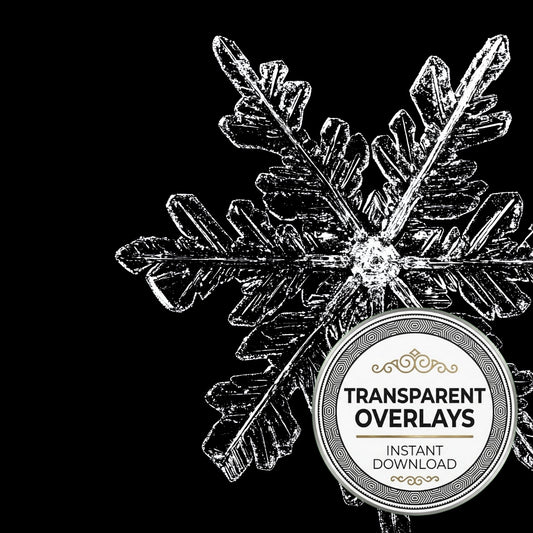 Large Snowflake Transparent Overlay Pngs
