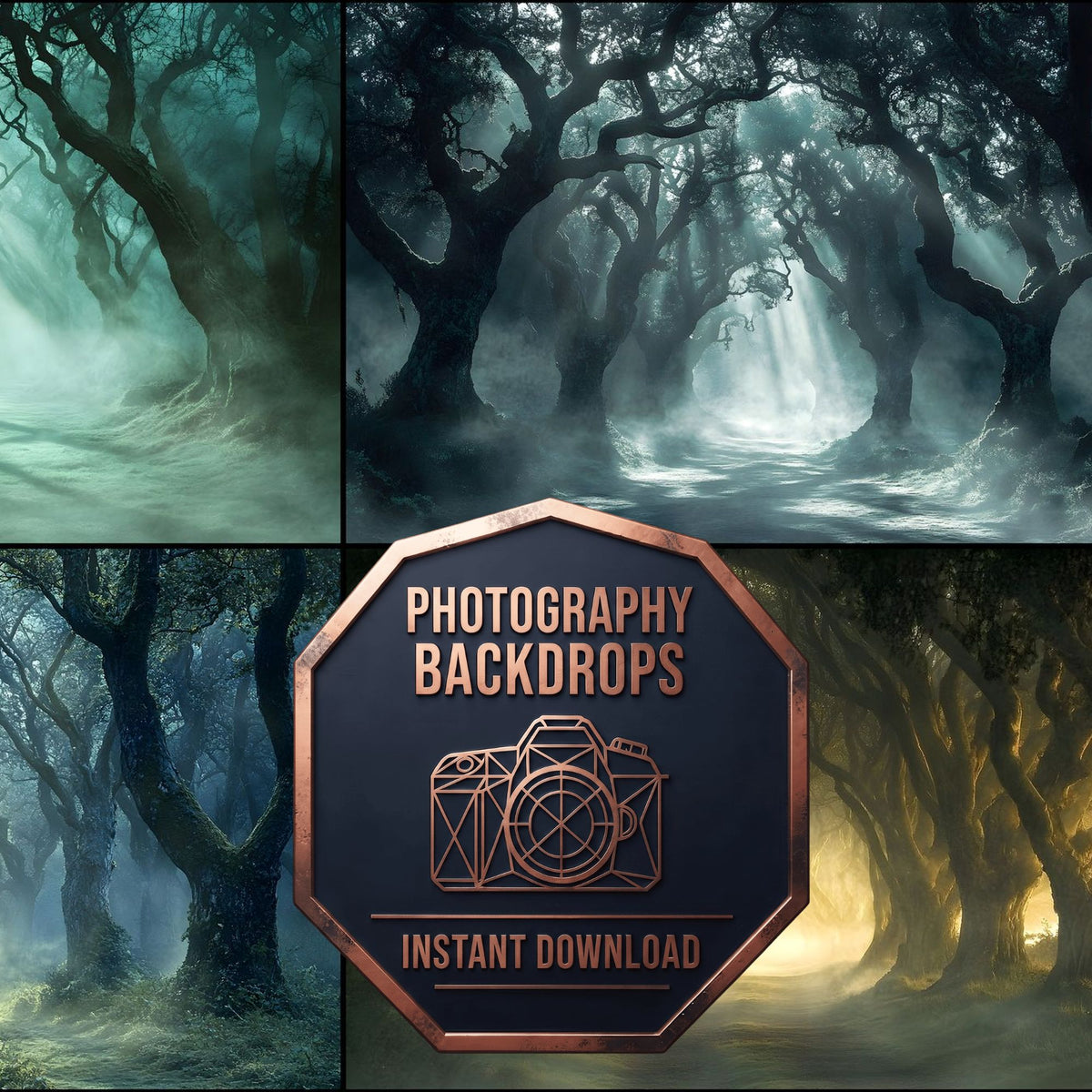 Misty Forest Dawn Backdrop Images
