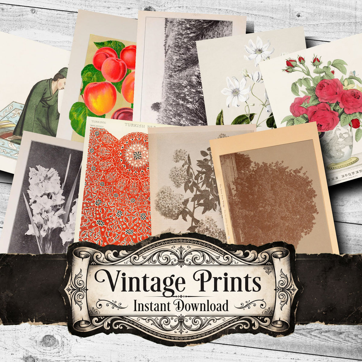 Mixed Ephemera Vintage Prints
