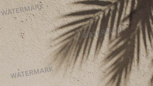 Palm shadow background loop | Neutral wall texture video, animated backdrop | Seamless looped video background for reels and scre