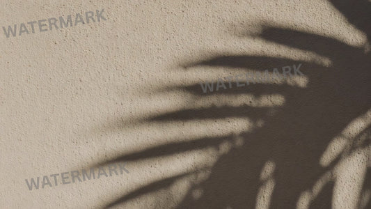 Palm Leaf Shadow Loop Video | Neutral Textures Background | Animated Digital Backdrop for Screens, Promos, and Social Media