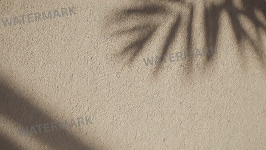 Animated Background Palm Shadow Wall | Seamless Loop Video | Neutral Texture | Minimal Video Background for Design & Video Editing
