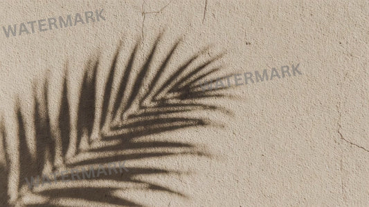 Palm Leaf Shadow Loop Background | Neutral Texture Animated Video, Seamless Loop | Minimal Video Background for Social, Reels, Web