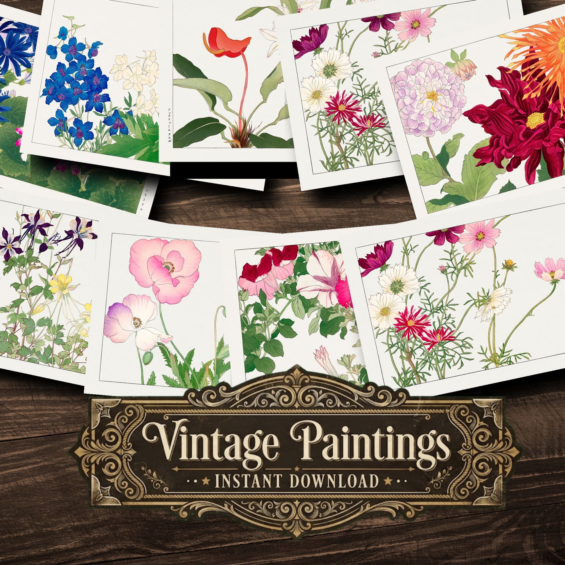 Seiyô Sôka Zufu Vintage Paintings