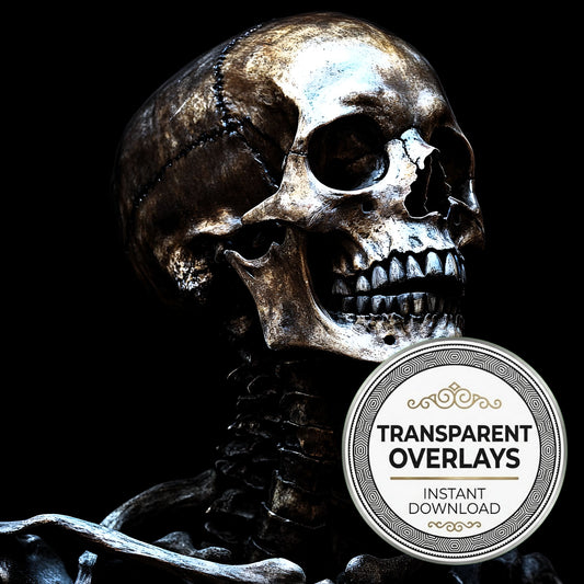 Skeleton Overlay On A Black Background