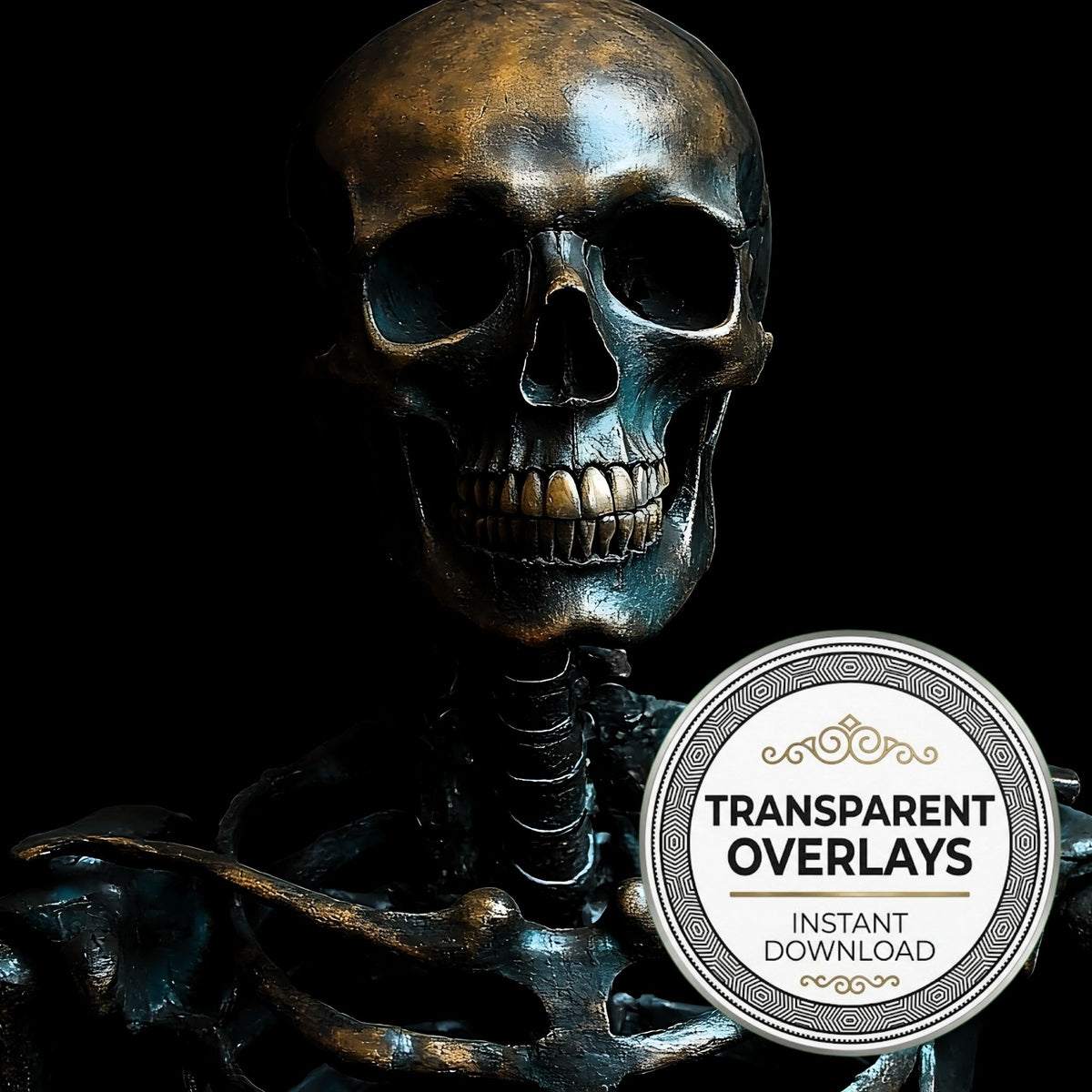 Skeleton Overlay On A Black Background