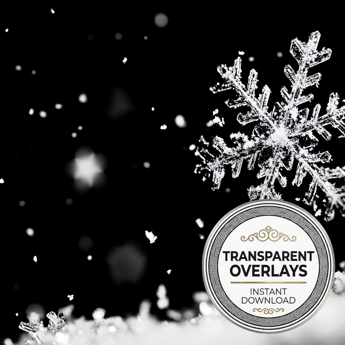 Snow Flake Overlay Lots