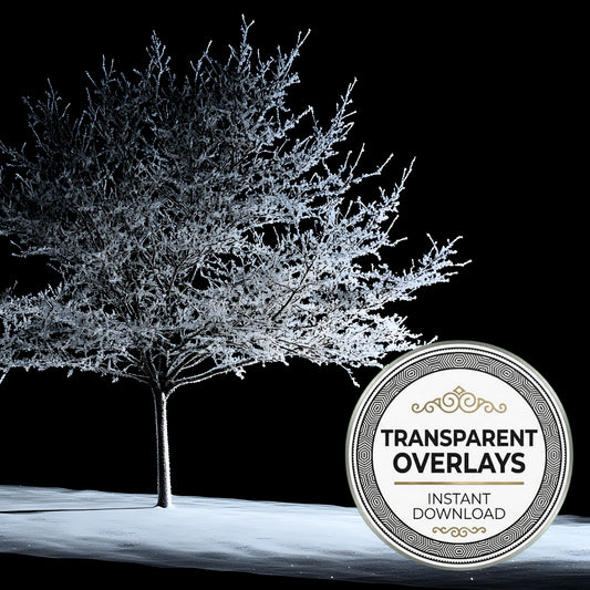 Snowy Day Lighting Soft White Transparent Overlay Pngs