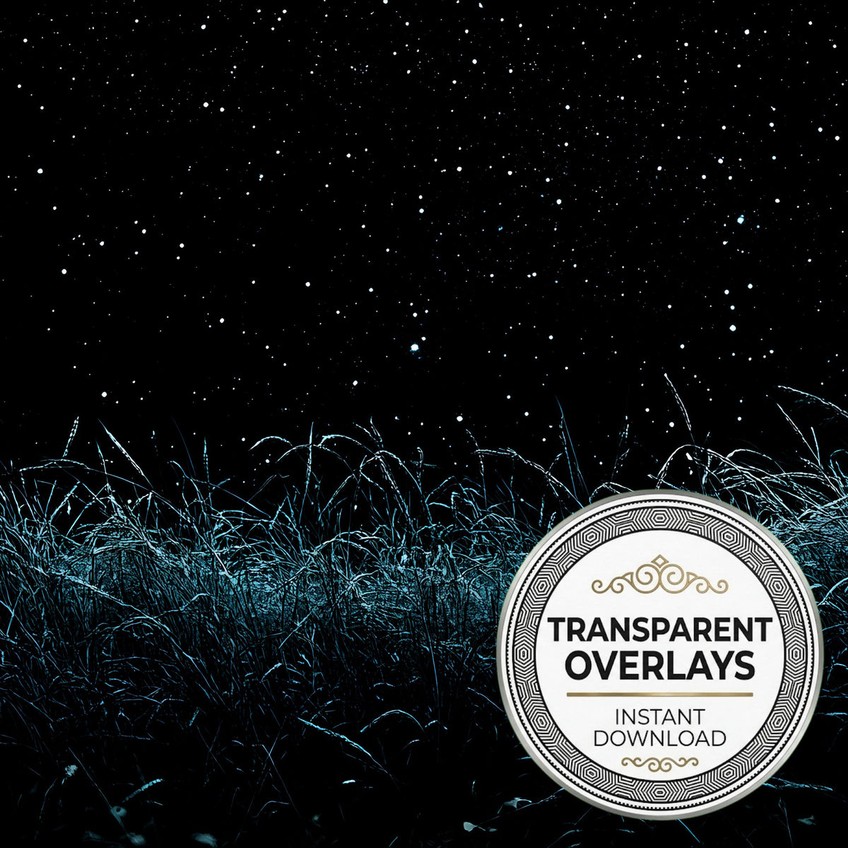Starry Meadow Transparent Overlay Pngs