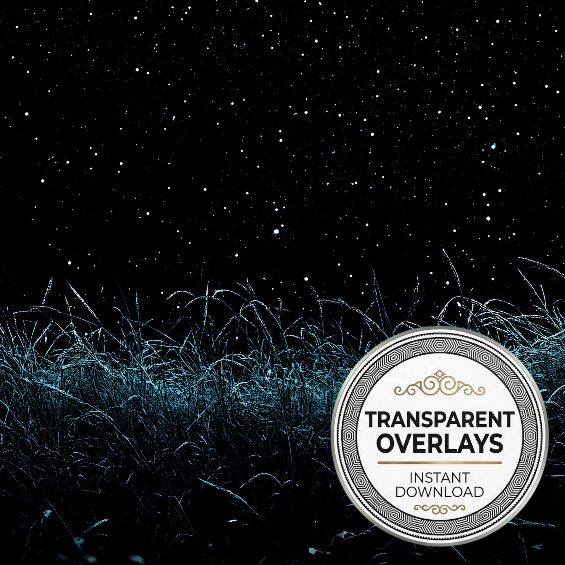 Starry Meadow Transparent Overlay Pngs
