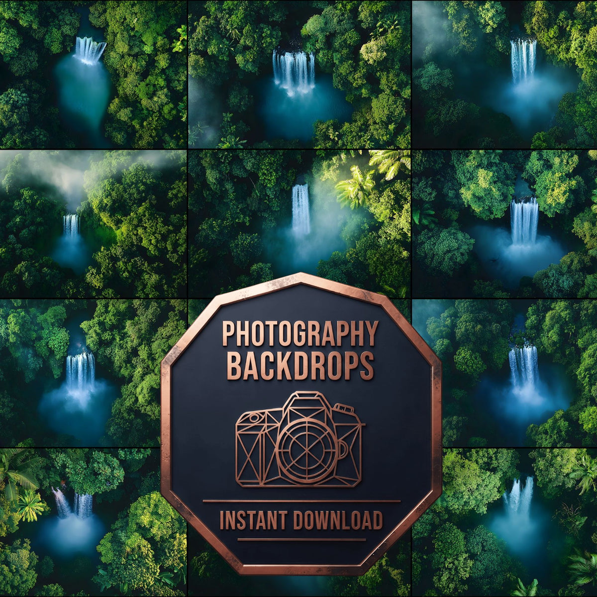 Tropical Forest Backdrop Images
