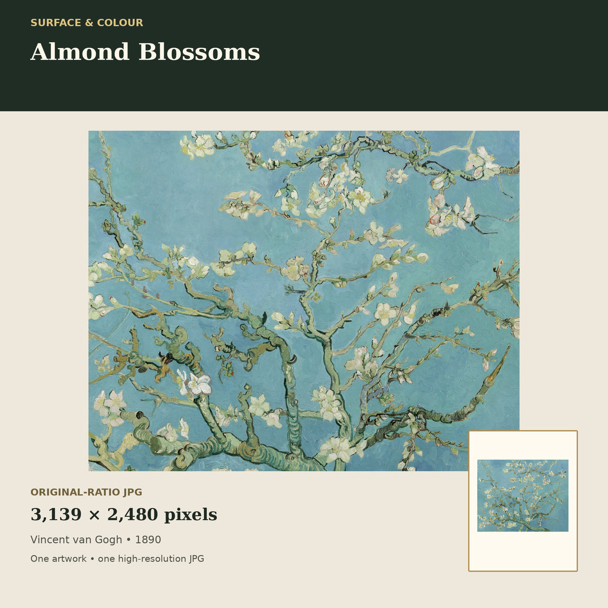 Almond Blossoms by Vincent van Gogh — detail mockup
