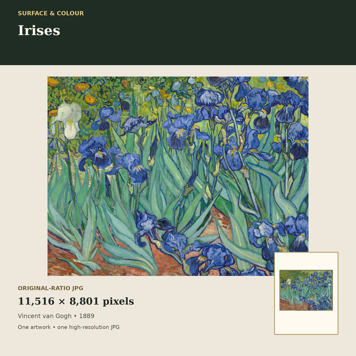 Irises by Vincent van Gogh — detail mockup