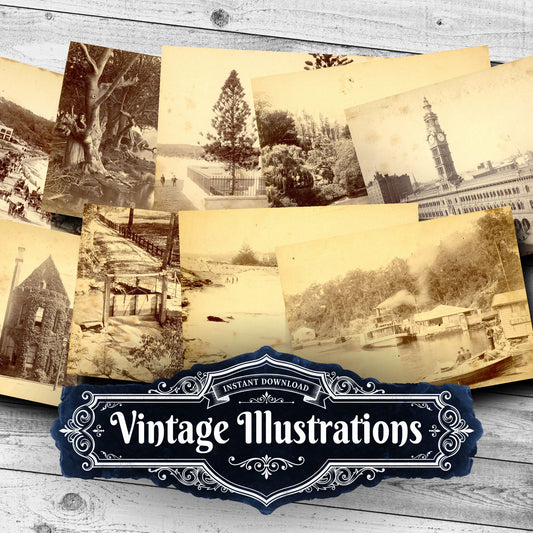 Vintage Photos Vintage Prints
