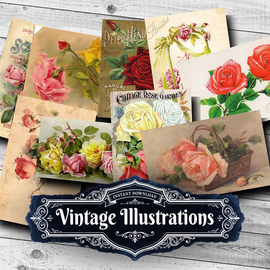 Vintage Roses Vintage Prints