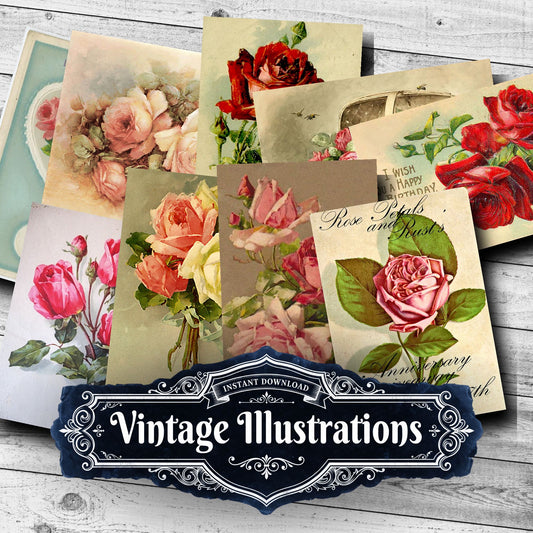 Vintage Roses Vintage Prints