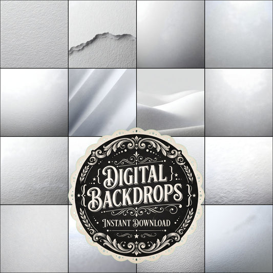White Gradient Light Gray Backdrop Images