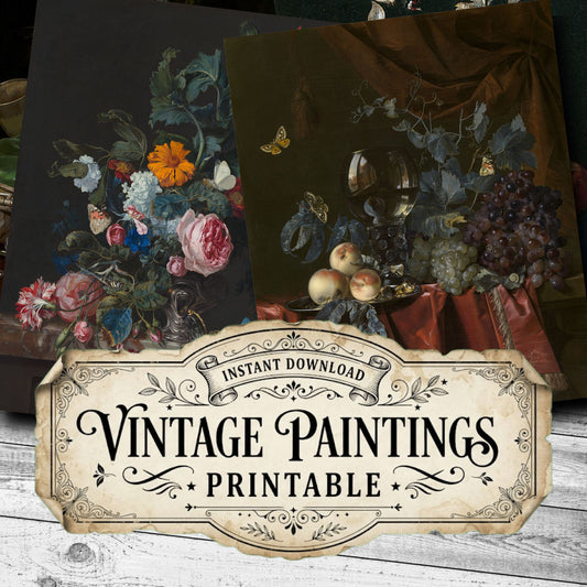 Willem Aelst Vintage Paintings