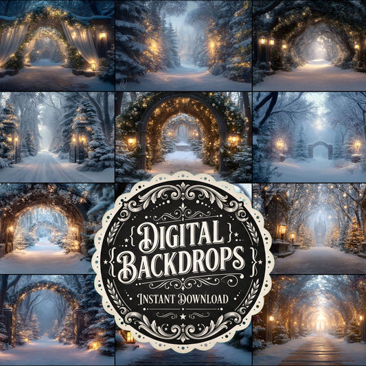 Winter Wonderland Professional Scene Backdrop Images